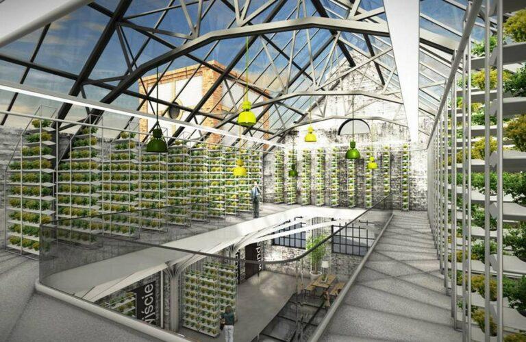 A937-Hydroponics-A-growing-trend-in-Architecture
