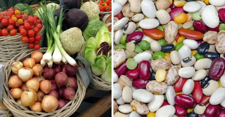 vegetables-vs-legumes