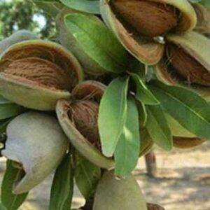 WhatsApp Image 2023-09-07 at 6.36.18 PM (1)