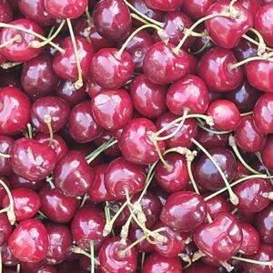 WhatsApp Image 2023-09-07 at 6.36.18 PM