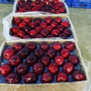 WhatsApp Image 2023-09-07 at 6.36.19 PM