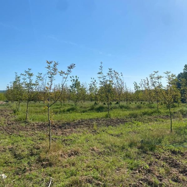 281552170_512571927240249_3371880751250735207_n