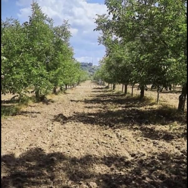 305762082_582460483584726_1953015887023730797_n