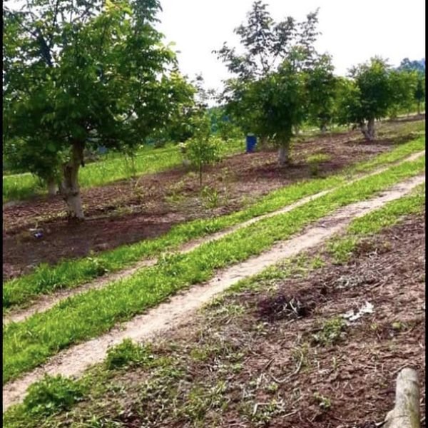 305979740_582460393584735_7828351424916957340_n