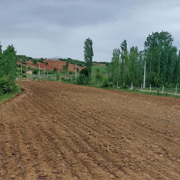 349903022_503760495209401_1618419642628207003_n