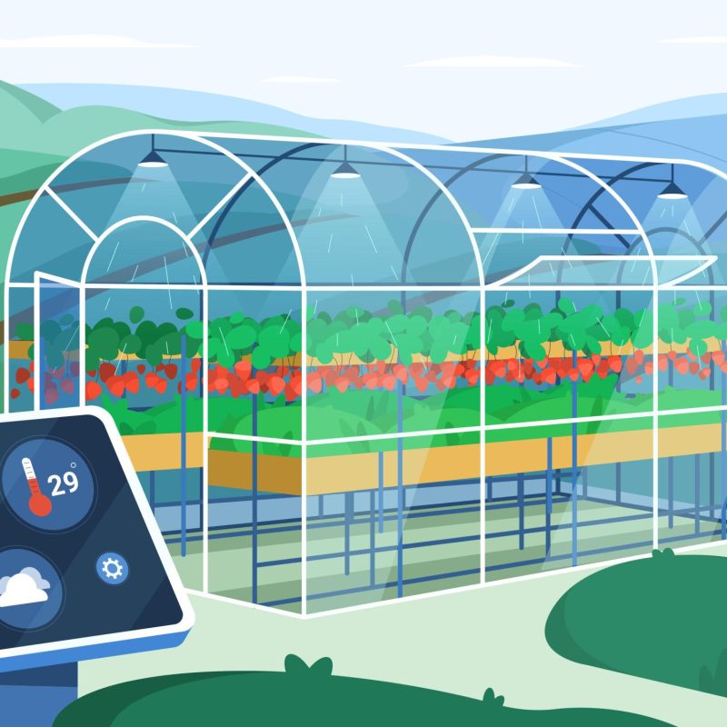 Flat greenhouse with smart device for automation watering plants