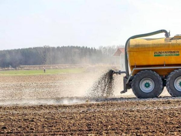 WhatsApp Image 2023-07-08 at 12.14.10 PM (1)