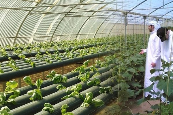 agirculture_blog-1140x532