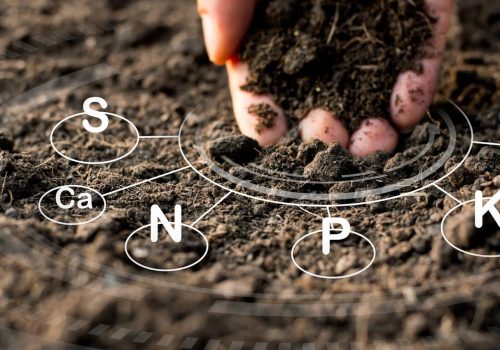 hand-holding-soil-up-close-elements-labeled